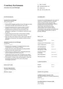 Insurance Account Manager CV Template #7