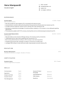 Insurance Agent Resume Example