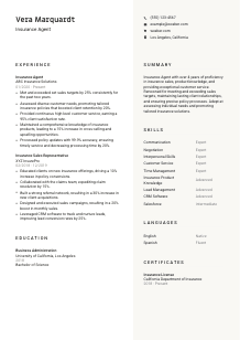 Insurance Agent Resume Template #2