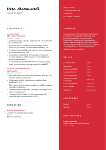 Insurance Agent Resume Template #3