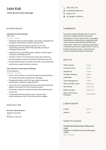 International Sales Manager Resume Template #13