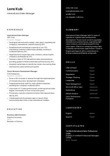 International Sales Manager CV Template #17