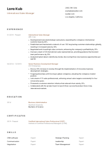 International Sales Manager Resume Template #6