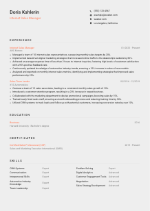 Internet Sales Manager Resume Template #23
