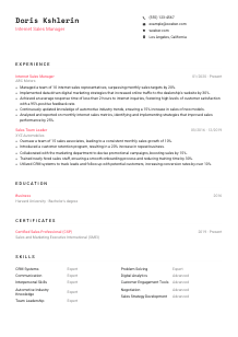 Internet Sales Manager Resume Template #4