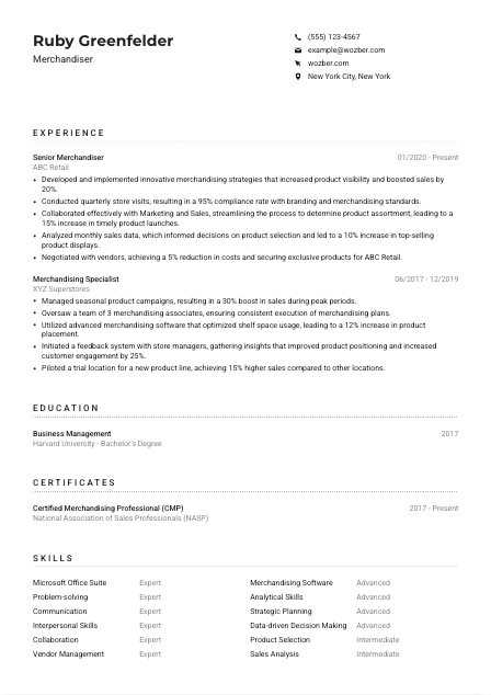 Merchandiser CV Example