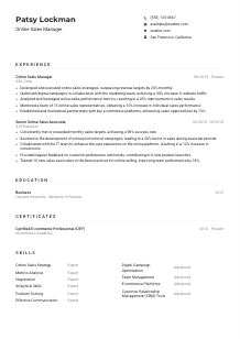Online Sales Manager Resume Example