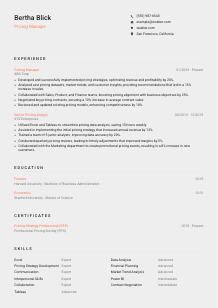 Pricing Manager CV Template #23