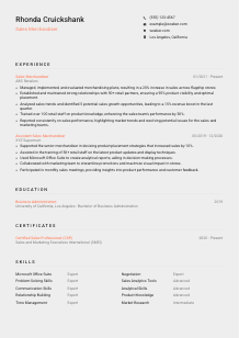 Sales Merchandiser Resume Template #3