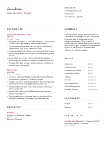 Sales Operations Analyst CV Template #2