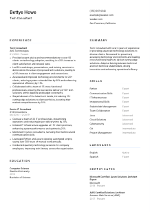 Tech Consultant CV Template #1