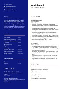 Technical Sales Manager CV Template #3