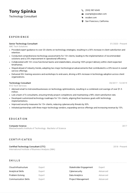 Technology Consultant Resume Example