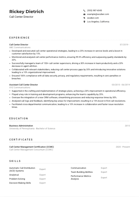 Call Center Director Resume Example