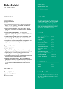 Call Center Director Resume Template #2