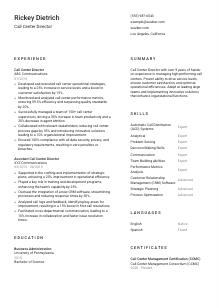 Call Center Director Resume Template #1