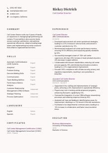 Call Center Director Resume Template #3