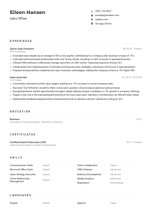 Sales Officer Resume Example