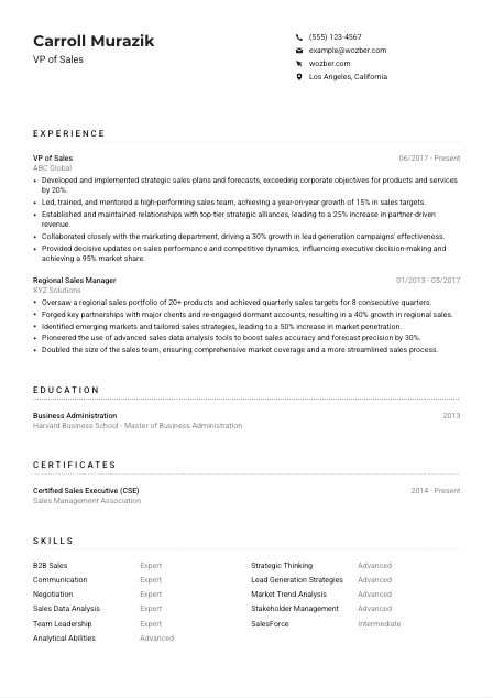 VP of Sales Resume Example