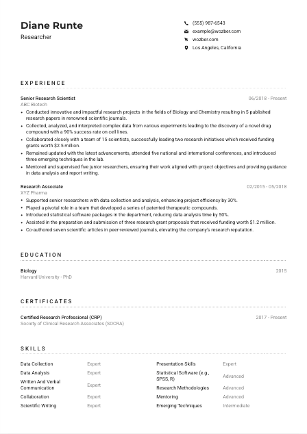 Researcher CV Example