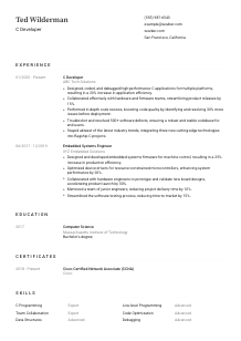 C Developer CV Template #3