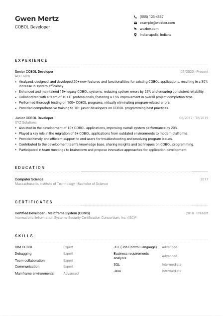 COBOL Developer Resume Example