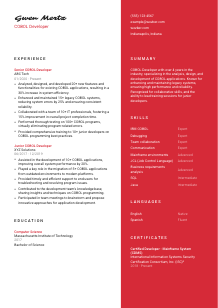 COBOL Developer Resume Template #22