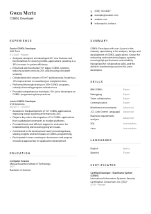 COBOL Developer Resume Template #7