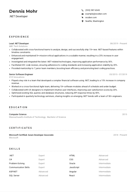 .NET Developer CV Example