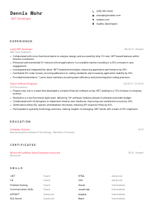 .NET Developer CV Template #1