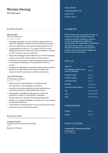 EDI Developer CV Template #15