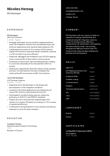 EDI Developer CV Template #17
