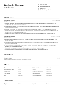 Flutter Developer Resume Example