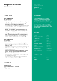 Flutter Developer Resume Template #2