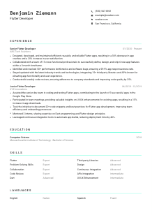 Flutter Developer Resume Template #3