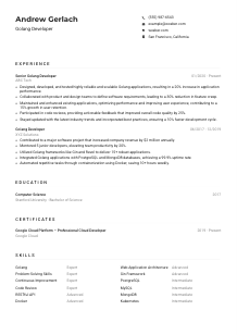 Golang Developer CV Example