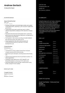 Golang Developer CV Template #3