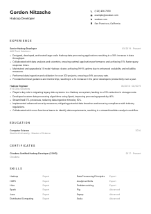 Hadoop Developer Resume Example