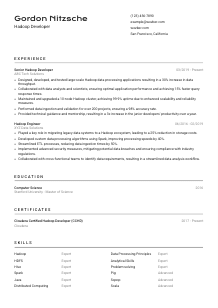 Hadoop Developer Resume Template #2