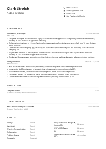 Node.js Developer CV Example