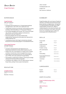 Drupal Developer CV Template #11