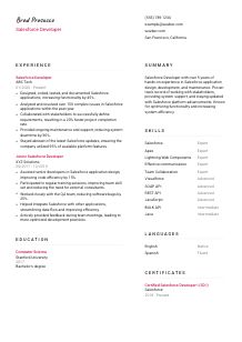 Salesforce Developer CV Template #2