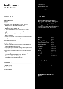 Salesforce Developer CV Template #3