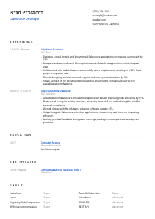 Salesforce Developer CV Template #1