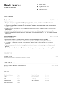 SharePoint Developer CV Example