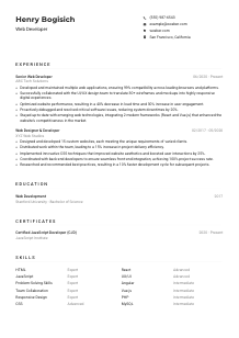 Web Developer Resume Example