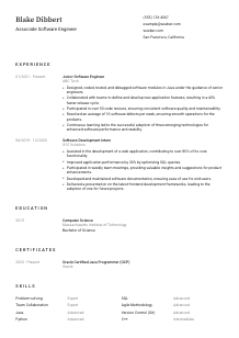 Associate Software Engineer CV Template #3