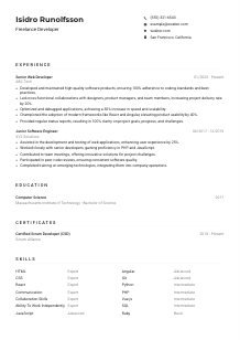 Freelance Developer CV Example