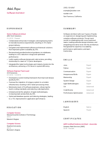 Software Architect Resume Template #2