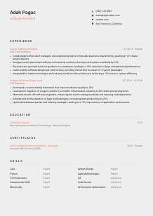 Software Architect Resume Template #3